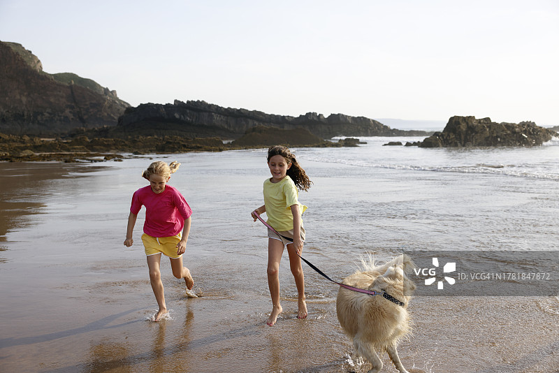 阳光下，两个女孩在空旷的沙滩上遛宠物狗图片素材