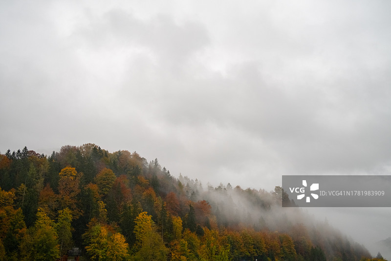 秋日森林上空的厚重云层图片素材