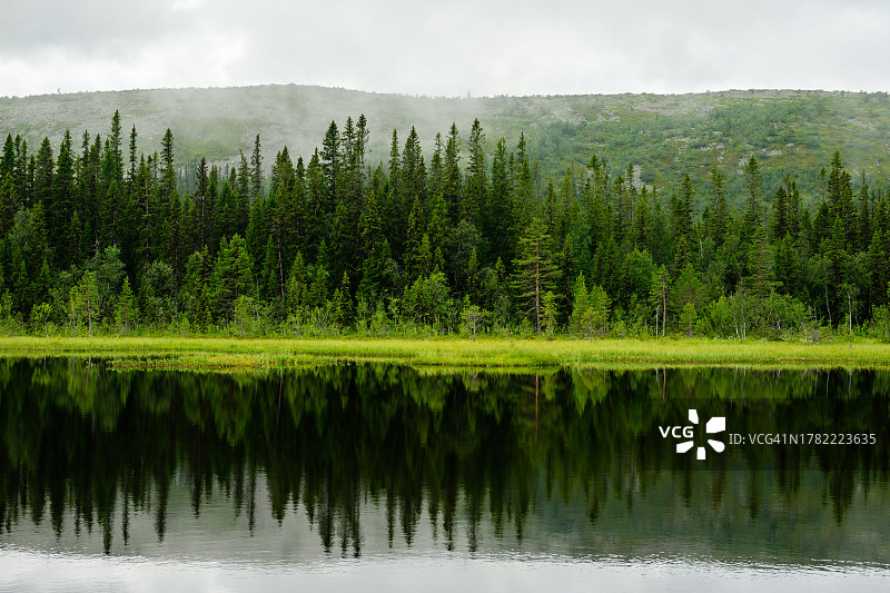 树木映衬天空的湖景图片素材