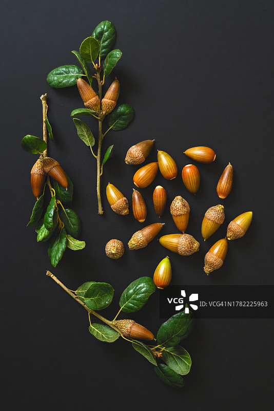 美国加利福尼亚州桌子上的水果特写图片素材