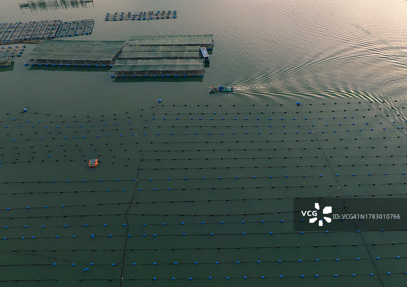 龙山水产养殖筏村牡蛎和海鲜养殖筏航拍照片图片素材