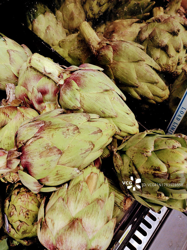 朝鲜蓟特写图片素材