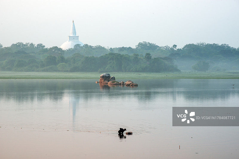 早晨的景色，Basawakkulama湖与miriswetiya Vihara为背景图片素材