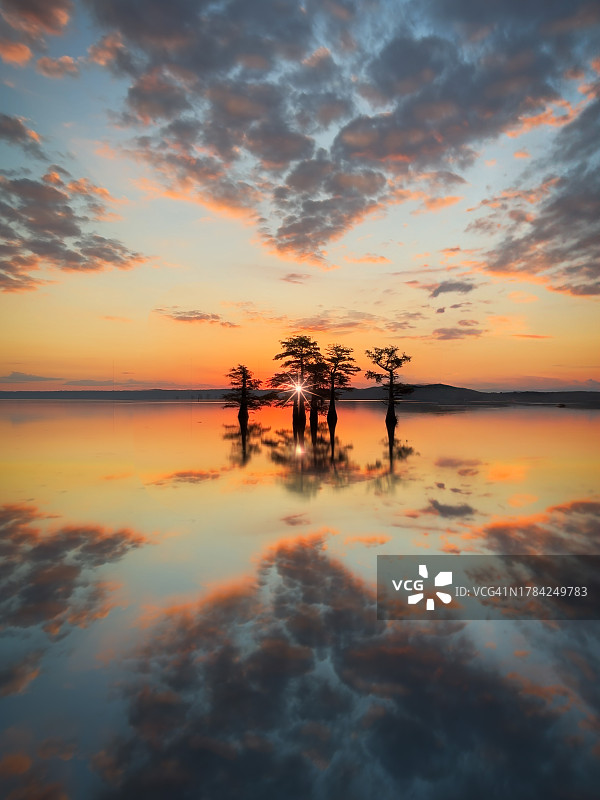 德克萨斯沼泽地上美丽的日出图片素材