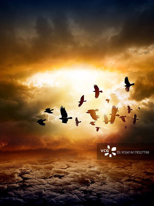 日落时分飞越海洋的鸟群图片素材