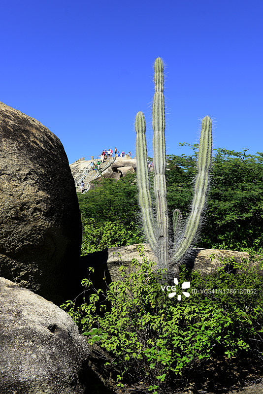 荷属阿鲁巴的奥拉涅斯塔德图片素材