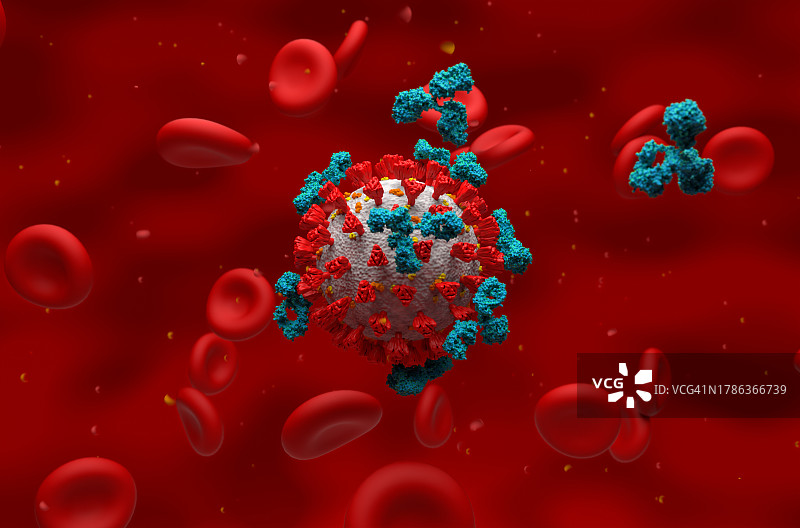 抗体攻击COVID-19冠状病毒，图示图片素材