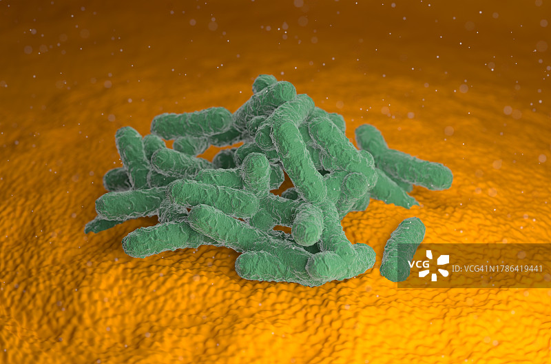 大肠杆菌插画图片素材