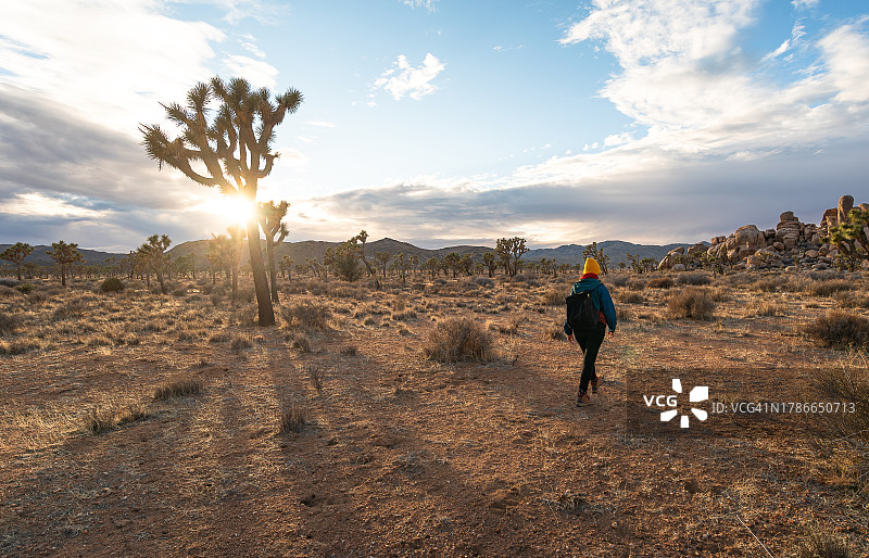 约书亚树国家公园里的女人图片素材