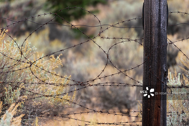 铁丝网图片素材