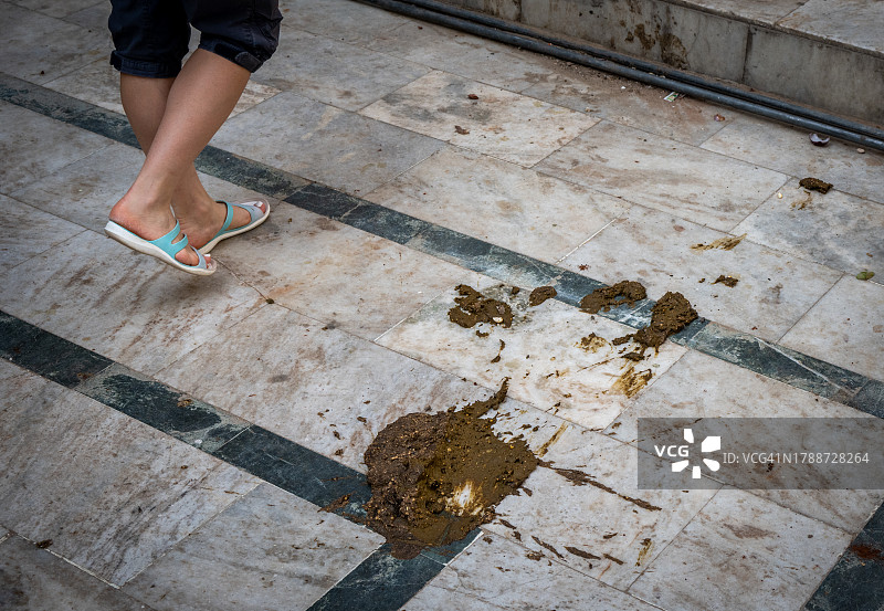 印度普什卡街道上的牛粪图片素材