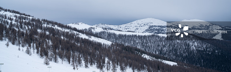 雪林风光图片素材