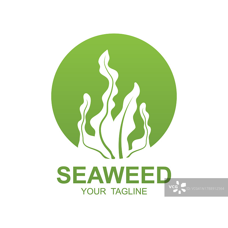 海藻Logo设计，水下植物插画，化妆品和食品配料图片素材