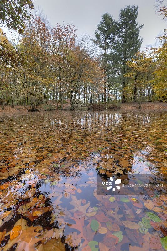 秋叶环绕的废弃泳池遗址图片素材