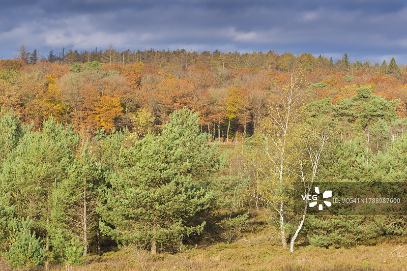 从乌格切尔斯山观赏乌格切尔斯荒原图片素材