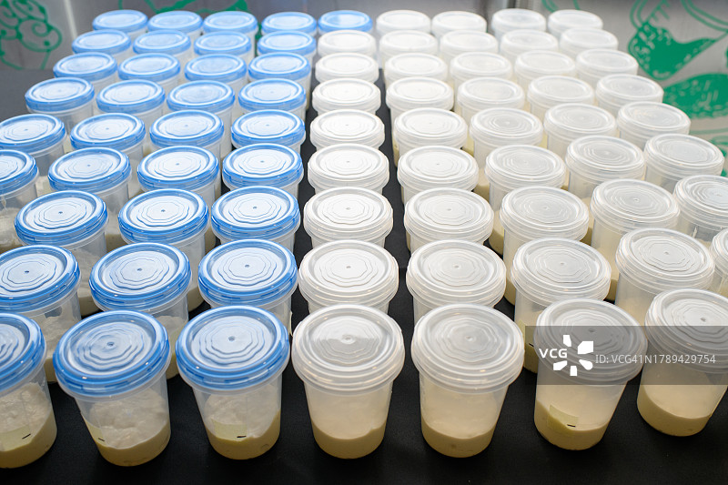 酸面包发酵剂图片素材