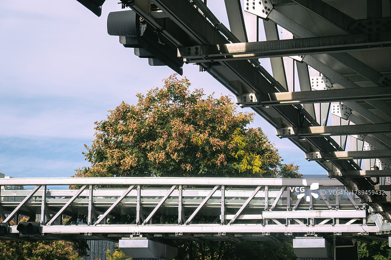秋季人行天桥旁的彩色桉树图片素材