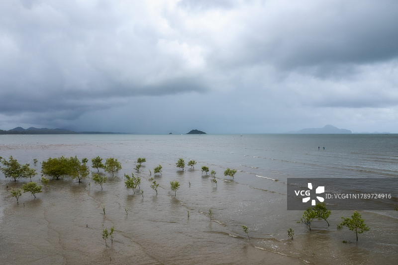海滩红树林栖息地鸟瞰图图片素材