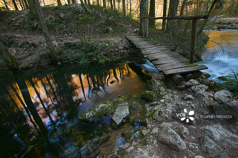 森林中的美丽瀑布图片素材