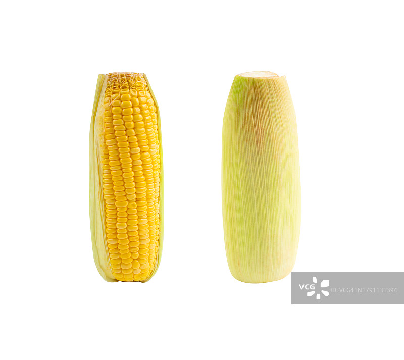 白色背景上的新鲜玉米图片素材