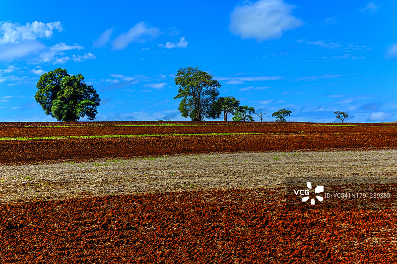 巴西隆德里纳地区农场上的红色土壤图片素材