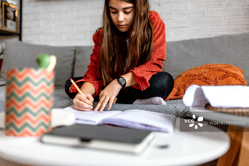 在客厅写作业的漂亮女孩图片素材