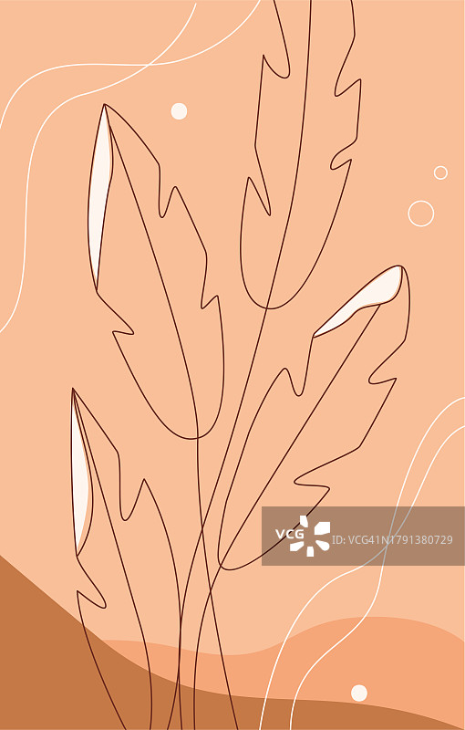 抽象自然叶子图案：带纹理的叶子轮廓图片素材