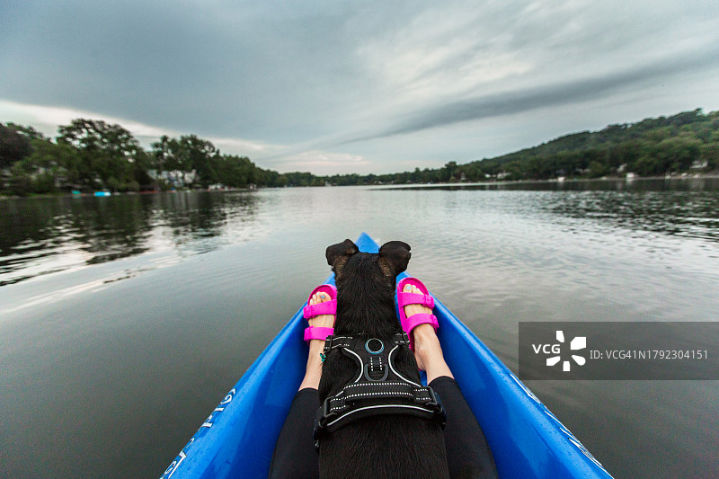 冒险：狗和女人一起划皮划艇，户外积极生活方式图片素材