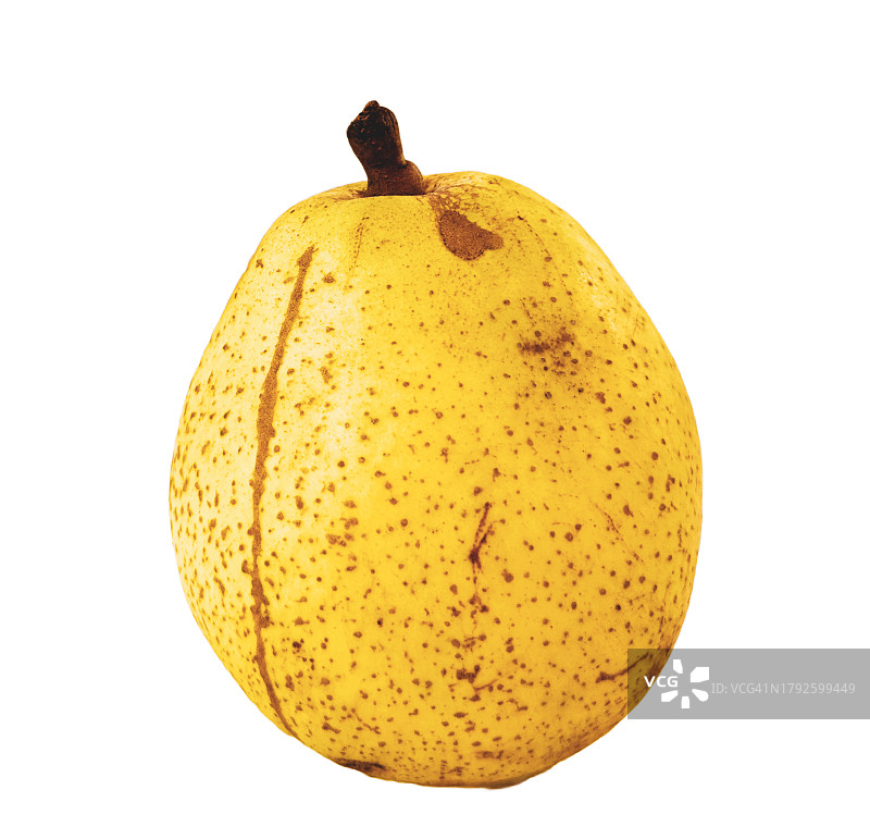 白色背景上的科米斯梨图片素材