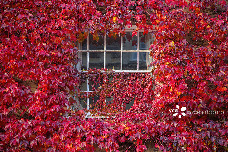 英国牛津郡宽街的秋天图片素材