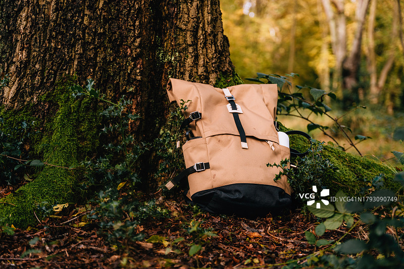 秋季林地树干旁的背包图片素材