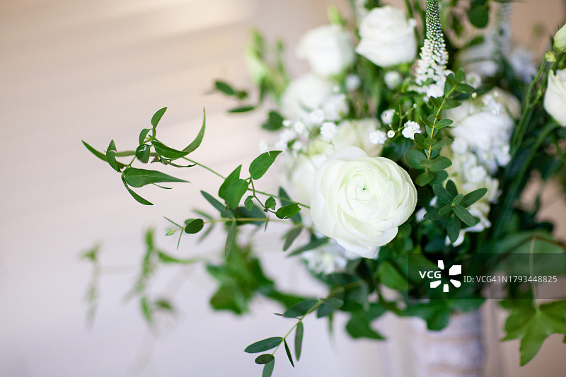 带绿色树叶的白色花卉图片素材