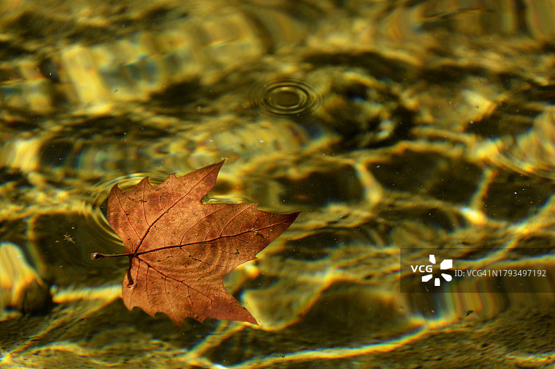 法国秋色图片素材