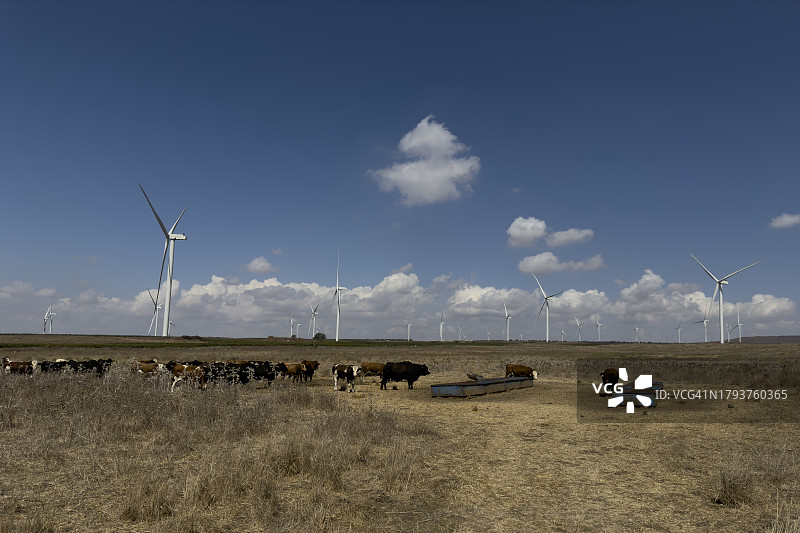 以色列戈兰高地的风力发电机图片素材
