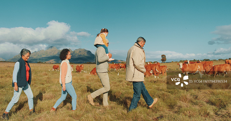 乡村家庭农场风光：牛群、田野、农业用地和山脉图片素材
