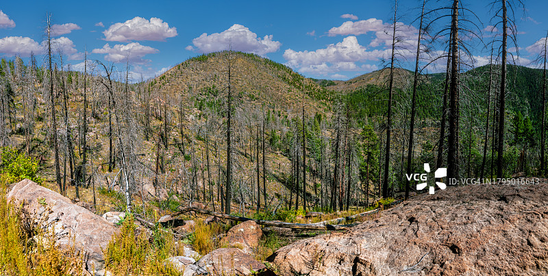 2019年博物馆火灾过后图片素材