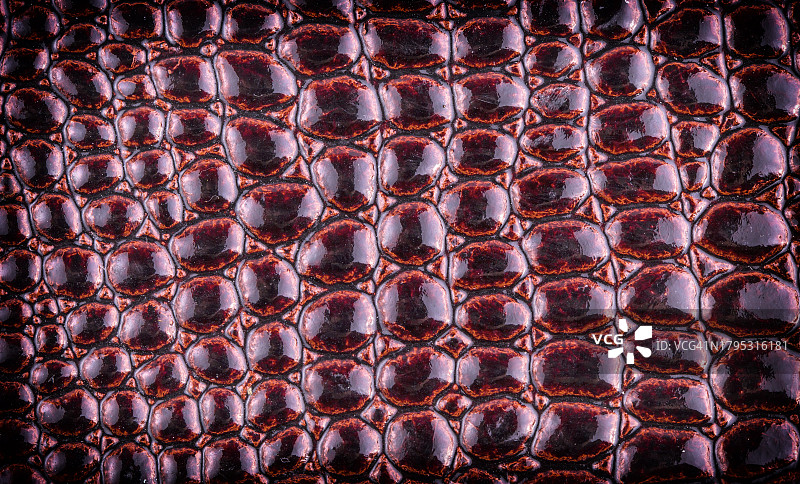 棕色皮革的完整画面图片素材