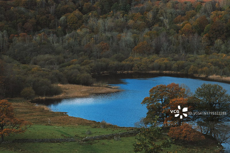 秋季英国温德米尔森林湖泊风光图片素材