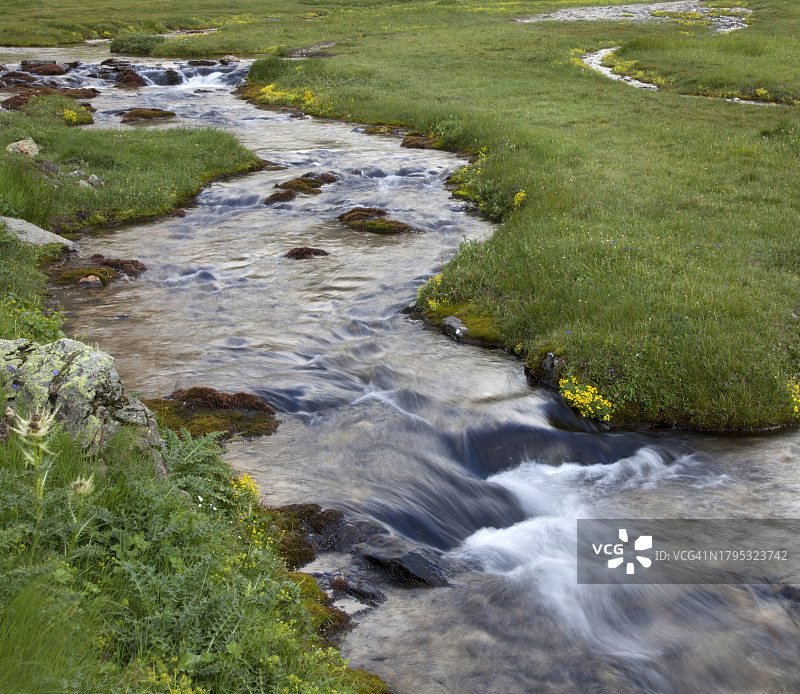 高山草甸上的山间小溪图片素材