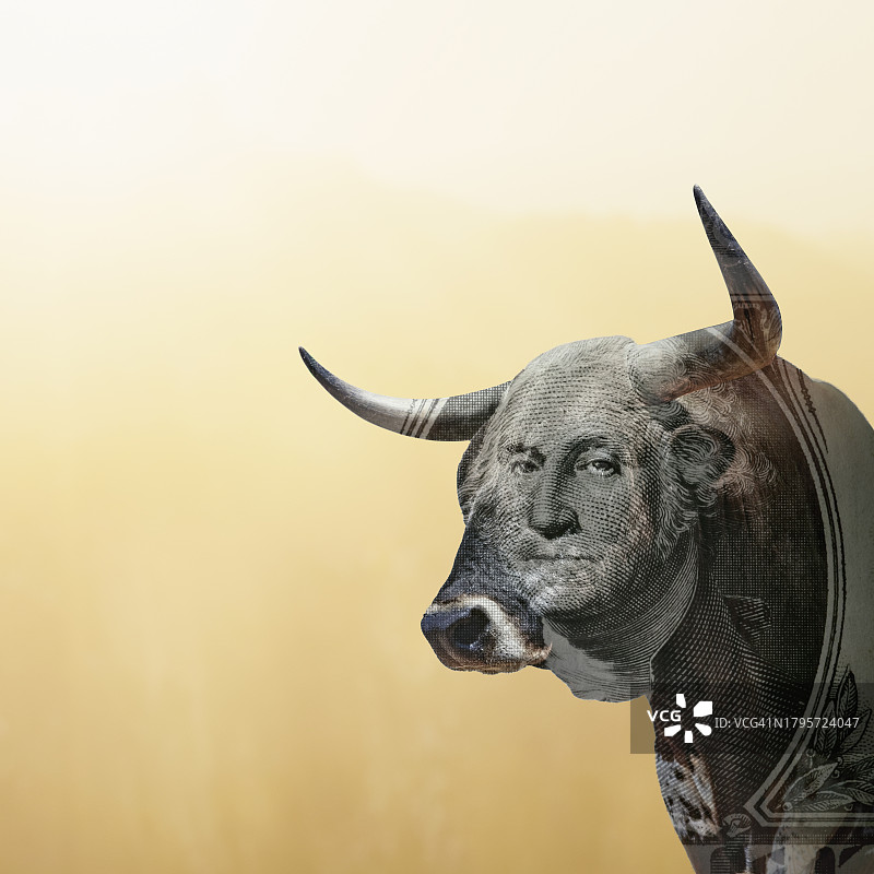 牛市投资图片素材