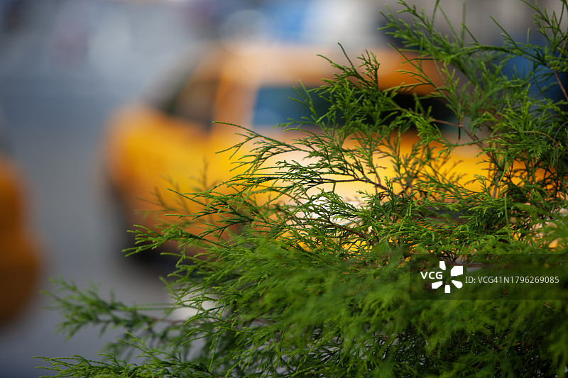 纽约黄色出租车图片素材