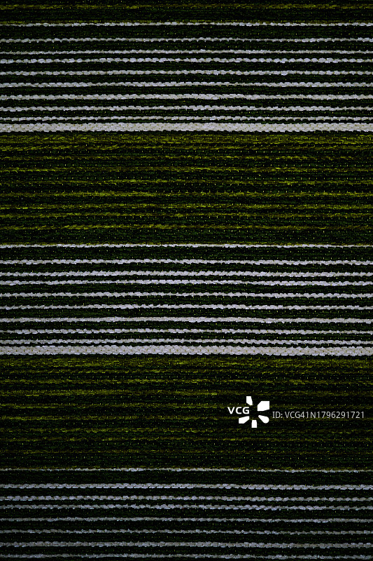深绿色条纹织物背景图片素材