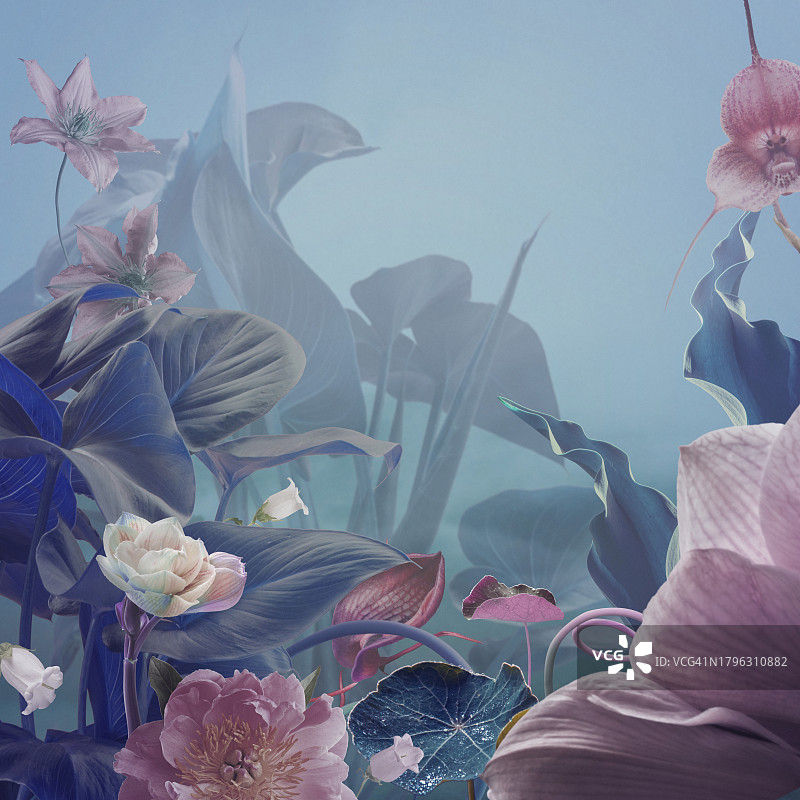 超现实主义童话自然背景图片素材