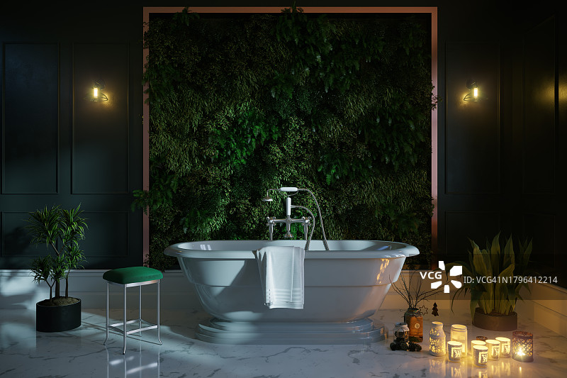 带有垂直花园的浴室图片素材