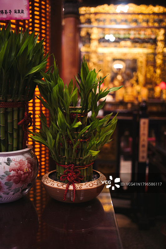 寺庙中带有幸运竹的精神氛围图片素材