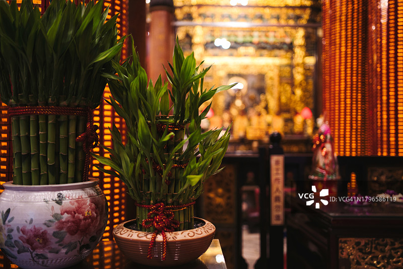 寺庙中带有幸运竹的精神氛围图片素材