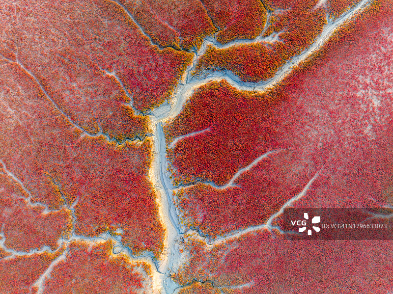 红海滩风景无人机航拍图片素材