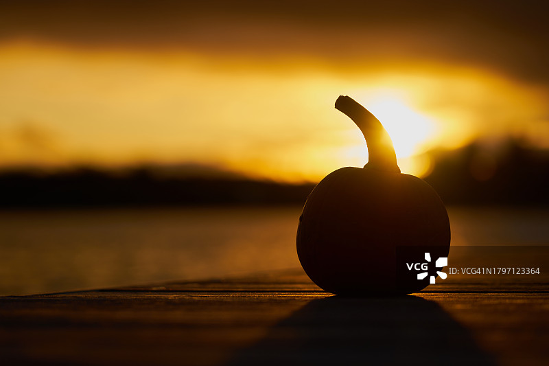 日落时的南瓜轮廓图片素材