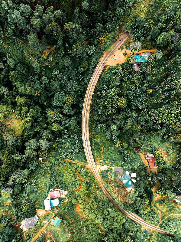 森林中的树木和建筑物航拍图片素材