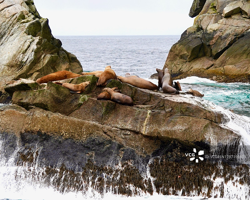 阿拉斯加的晴空海景，美国图片素材